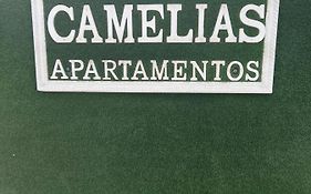 Yumbo Appartamenti Las Camelias Playa Del Ingles