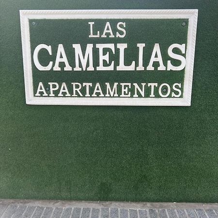 Yumbo Appartamenti Las Camelias Playa Del Ingles Esterno foto